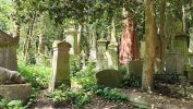 PICTURES/Highgate Cemetery East & West - London, England/t_20230520_134021.jpg